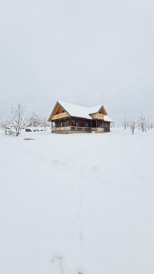 Casa Bunicilor Din Oncestiヴィラ エクステリア 写真