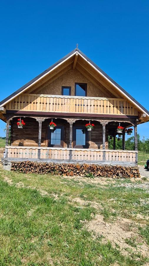 Casa Bunicilor Din Oncestiヴィラ エクステリア 写真