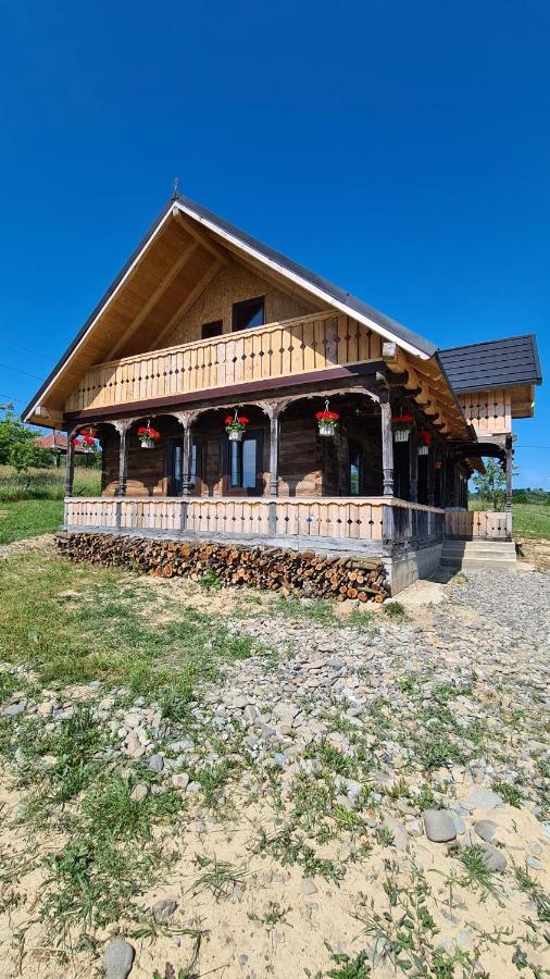 Casa Bunicilor Din Oncestiヴィラ エクステリア 写真