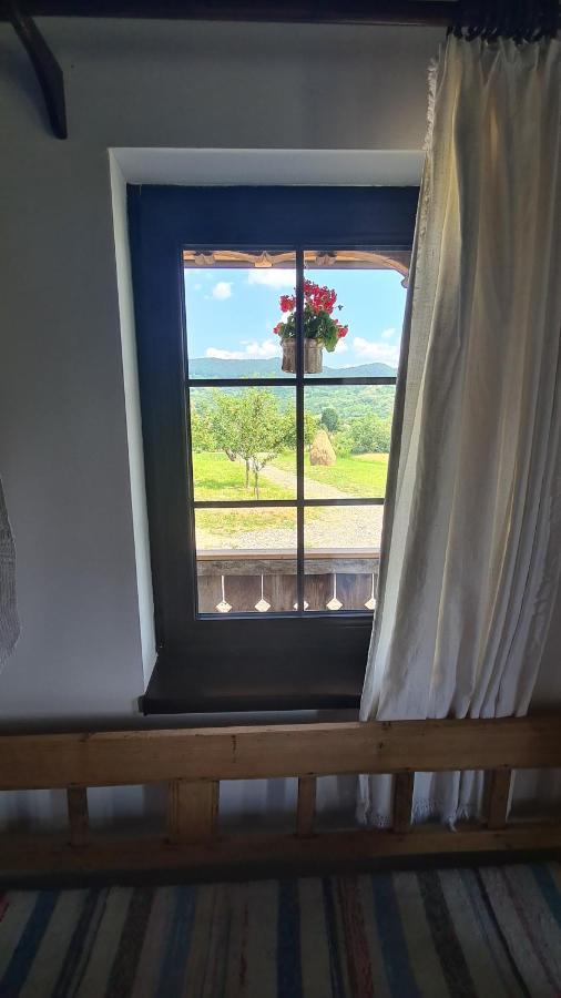 Casa Bunicilor Din Oncestiヴィラ エクステリア 写真