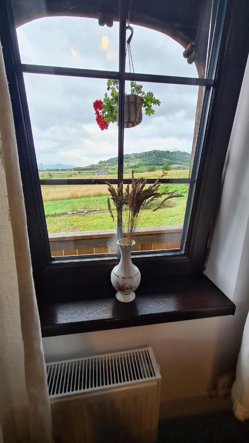 Casa Bunicilor Din Oncestiヴィラ エクステリア 写真